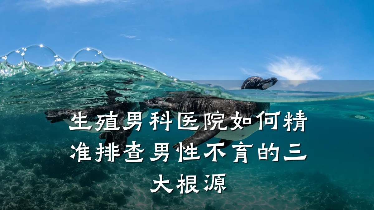 生殖男科医院如何精准排查男性不育的三大根源
