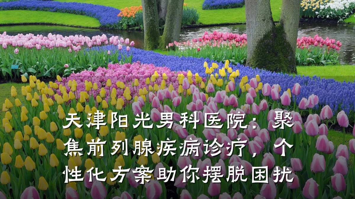 天津阳光男科医院:聚焦前列腺疾病诊疗,个性化方案助你摆脱困扰