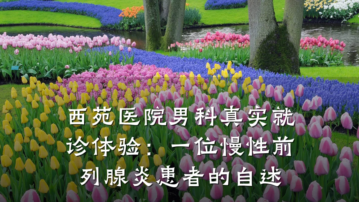 西苑医院男科真实就诊体验:一位慢性前列腺炎患者的自述