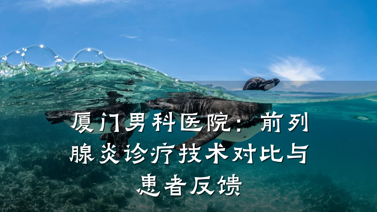 厦门男科医院:前列腺炎诊疗技术对比与患者反馈