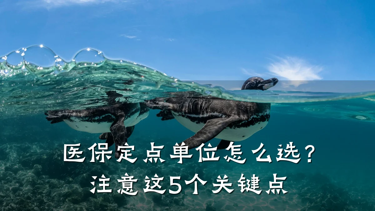 医保定点单位怎么选?注意这5个关键点