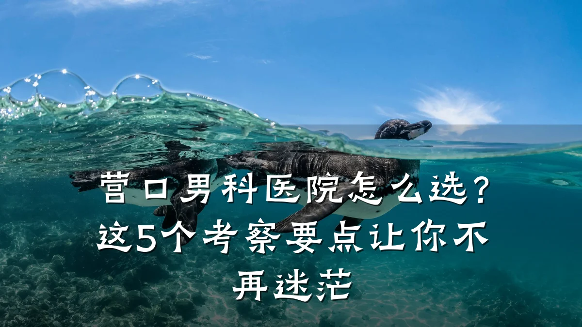 营口男科医院怎么选?这5个考察要点让你不再迷茫