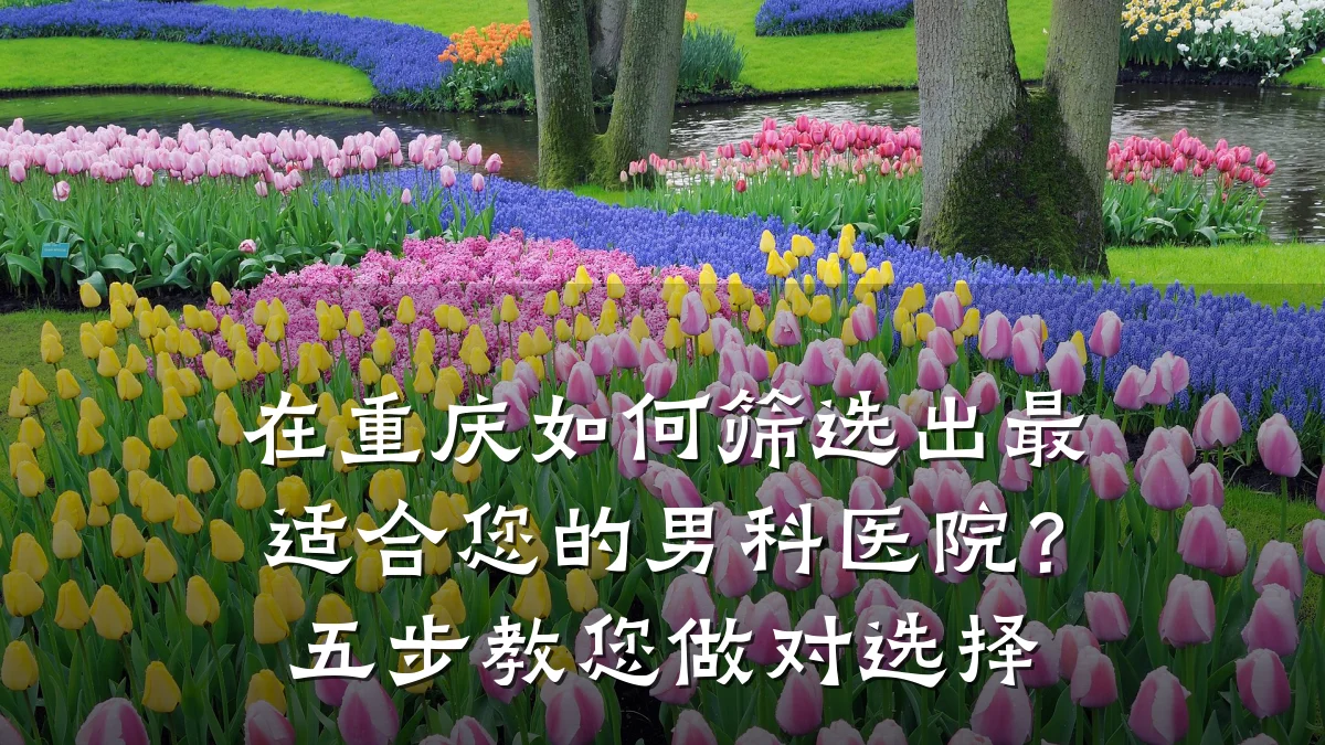 在重庆如何筛选出最适合您的男科医院?五步教您做对选择