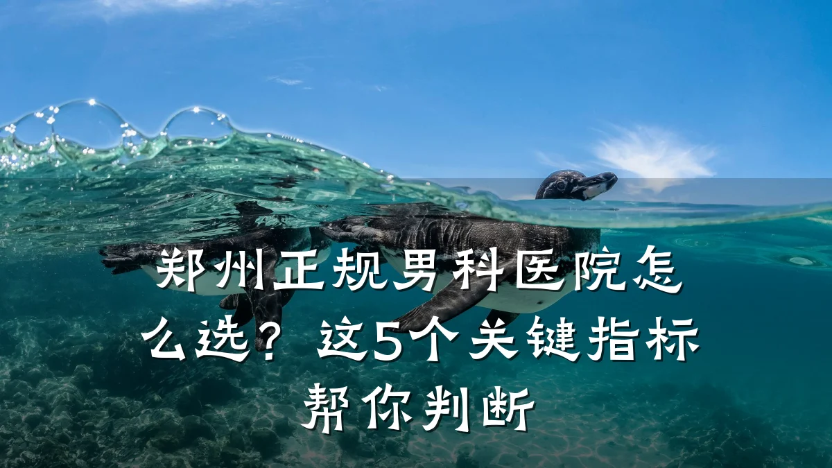郑州正规男科医院怎么选?这5个关键指标帮你判断