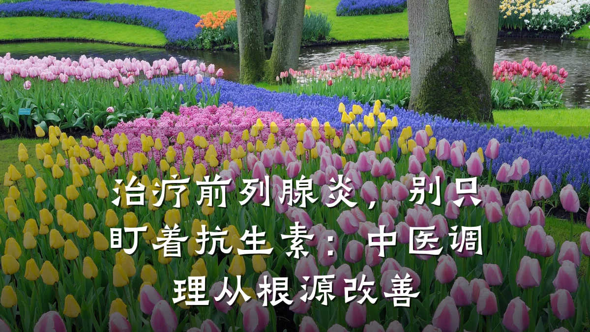 治疗前列腺炎,别只盯着抗生素:中医调理从根源改善