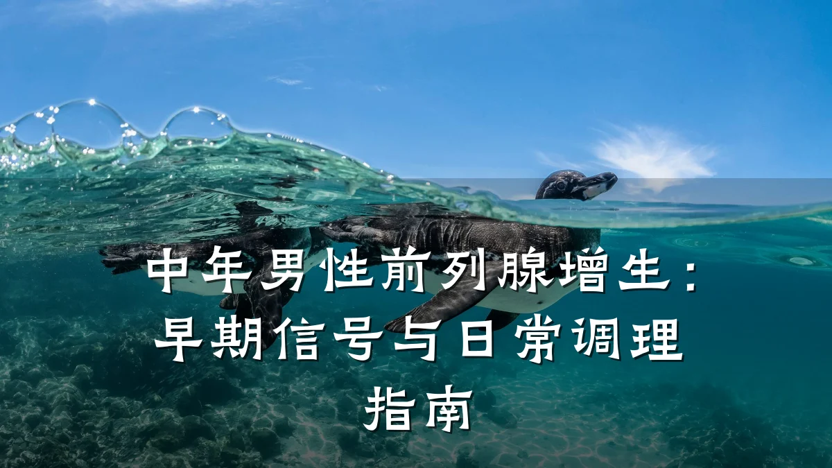 中年男性前列腺增生:早期信号与日常调理指南