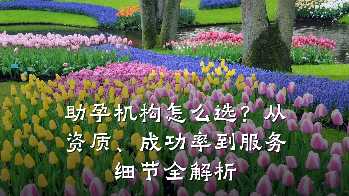 助孕机构怎么选?从资质、成功率到服务细节全解析