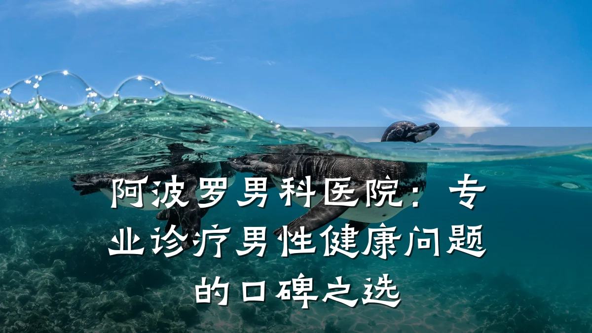 阿波罗男科医院:专业诊疗男性健康问题的口碑之选