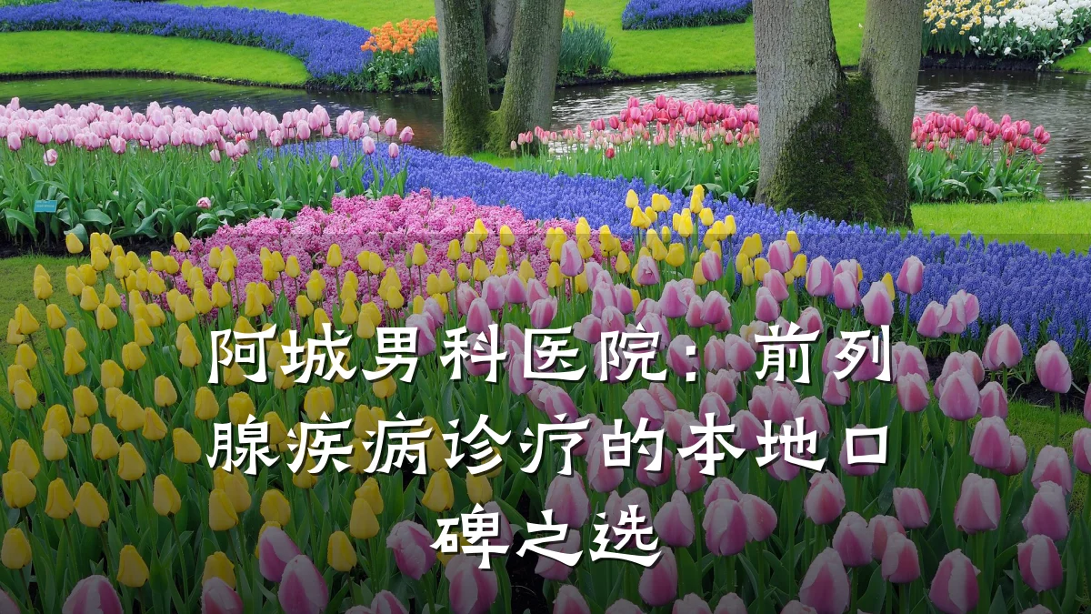 阿城男科医院:前列腺疾病诊疗的本地口碑之选
