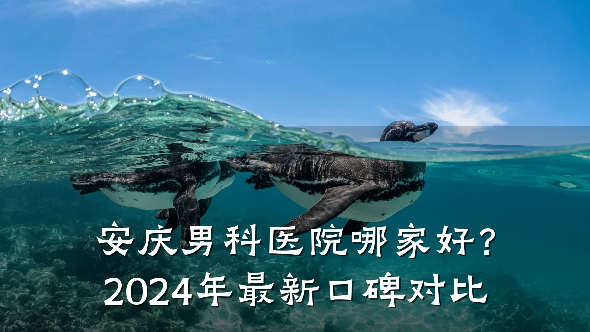 安庆男科医院哪家好?2024年最新口碑对比