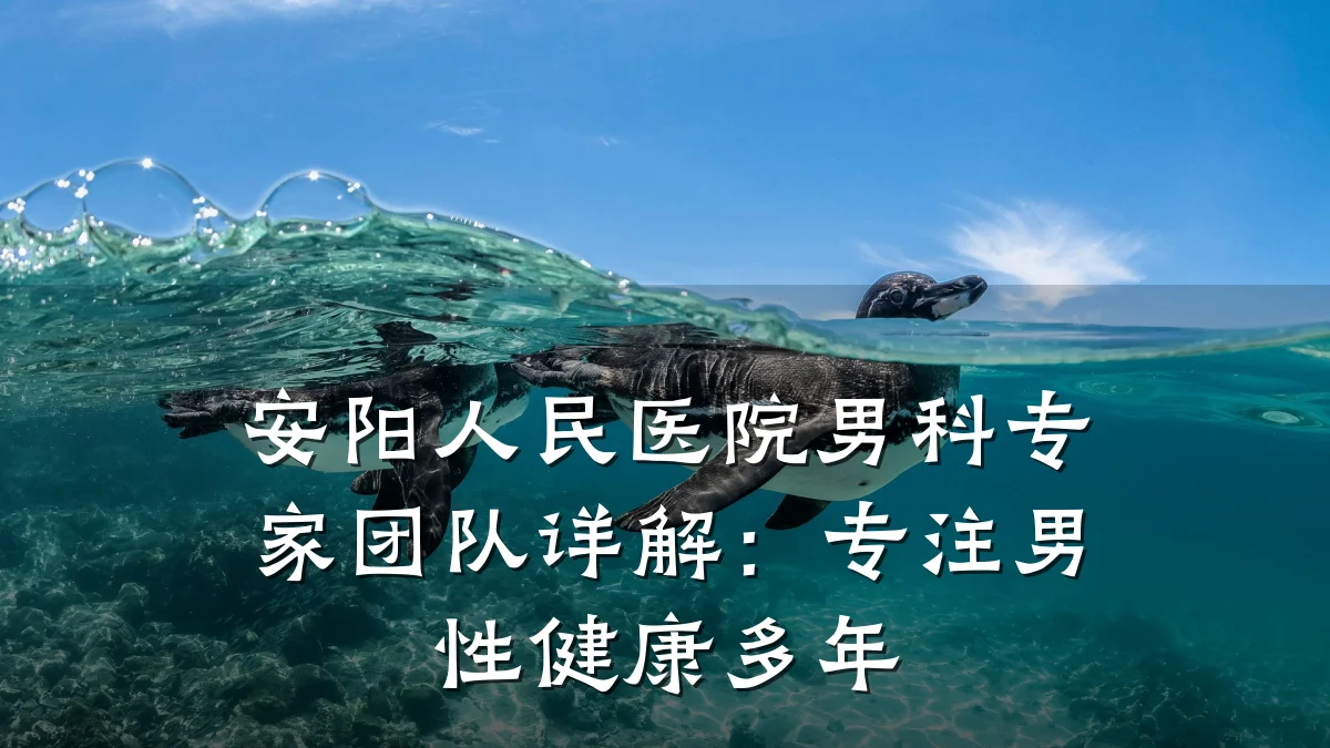 安阳人民医院男科专家团队详解:专注男性健康多年