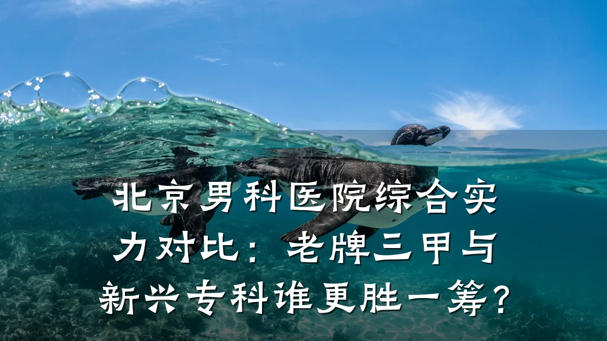 北京男科医院综合实力对比:老牌三甲与新兴专科谁更胜一筹?