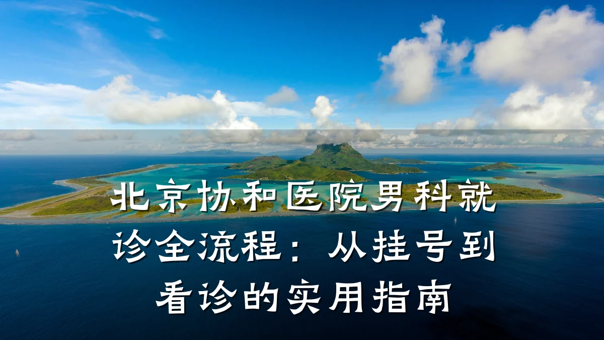 北京协和医院男科就诊全流程:从挂号到看诊的实用指南
