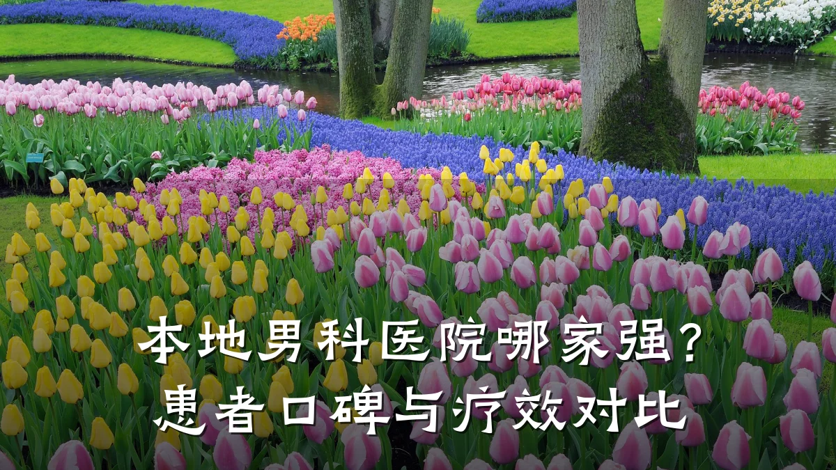 本地男科医院哪家强?患者口碑与疗效对比