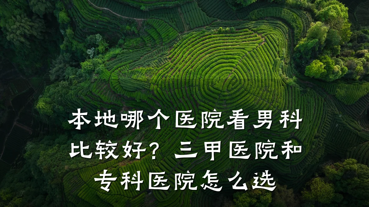 本地哪个医院看男科比较好?三甲医院和专科医院怎么选