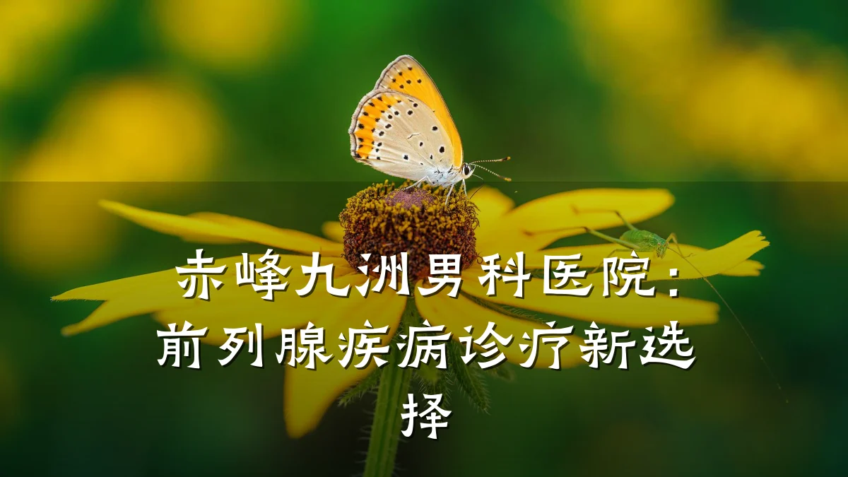 赤峰九洲男科医院:前列腺疾病诊疗新选择