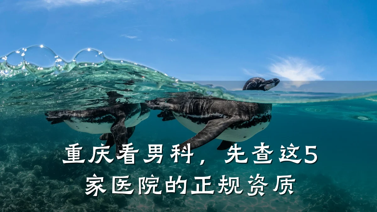 重庆看男科,先查这5家医院的正规资质