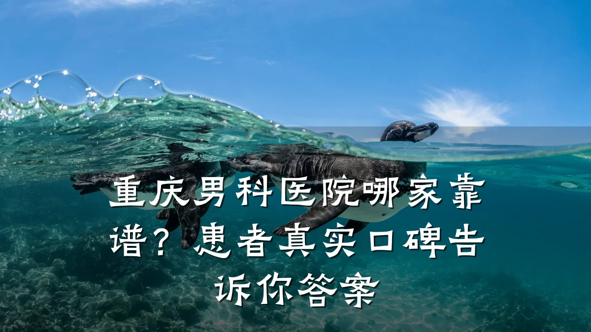 重庆男科医院哪家靠谱?患者真实口碑告诉你答案