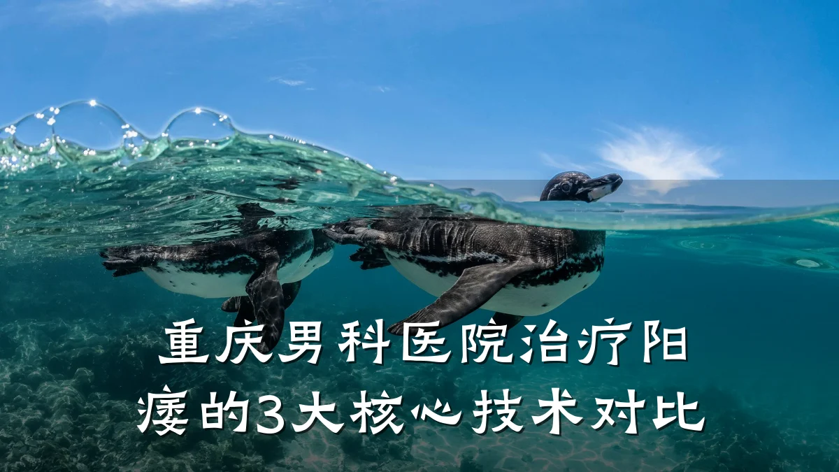 重庆男科医院治疗阳痿的3大核心技术对比