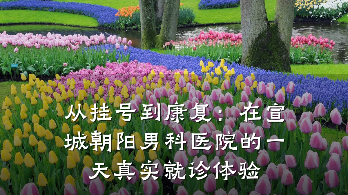 从挂号到康复:在宣城朝阳男科医院的一天真实就诊体验