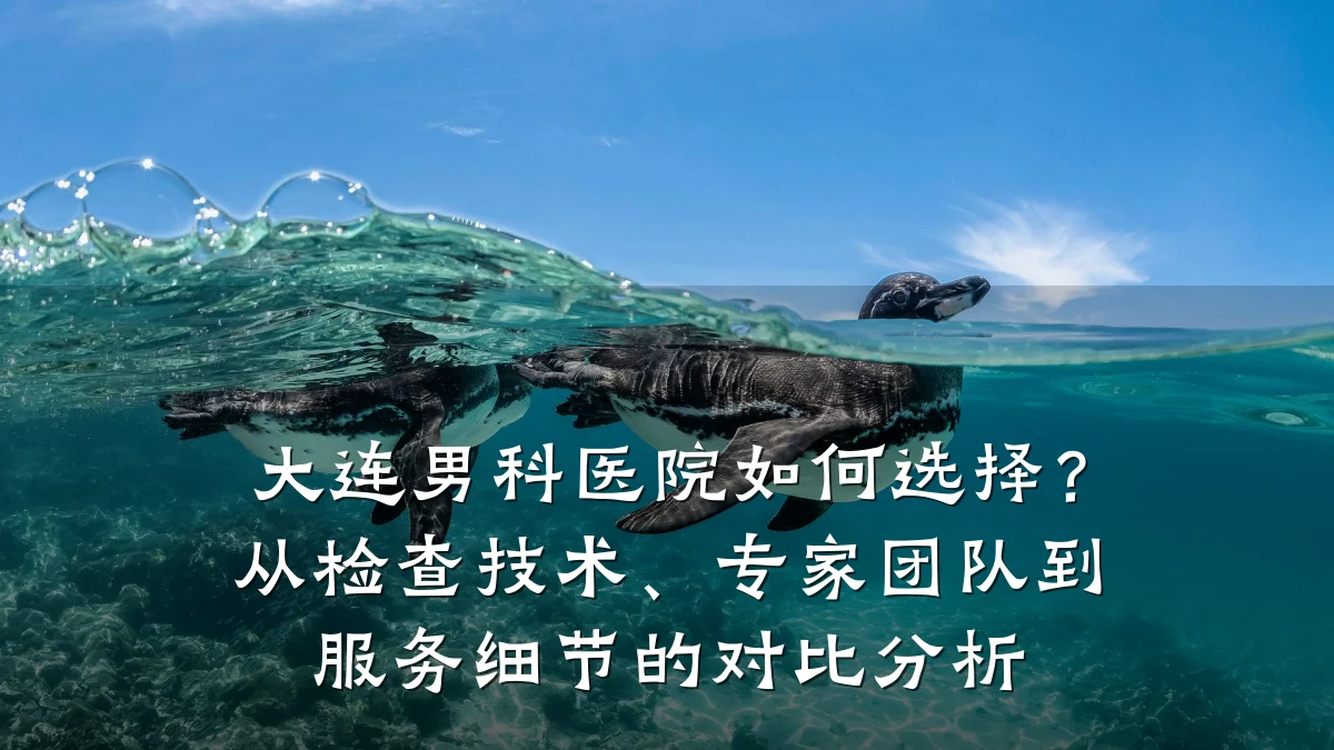 大连男科医院如何选择?从检查技术、专家团队到服务细节的对比分析