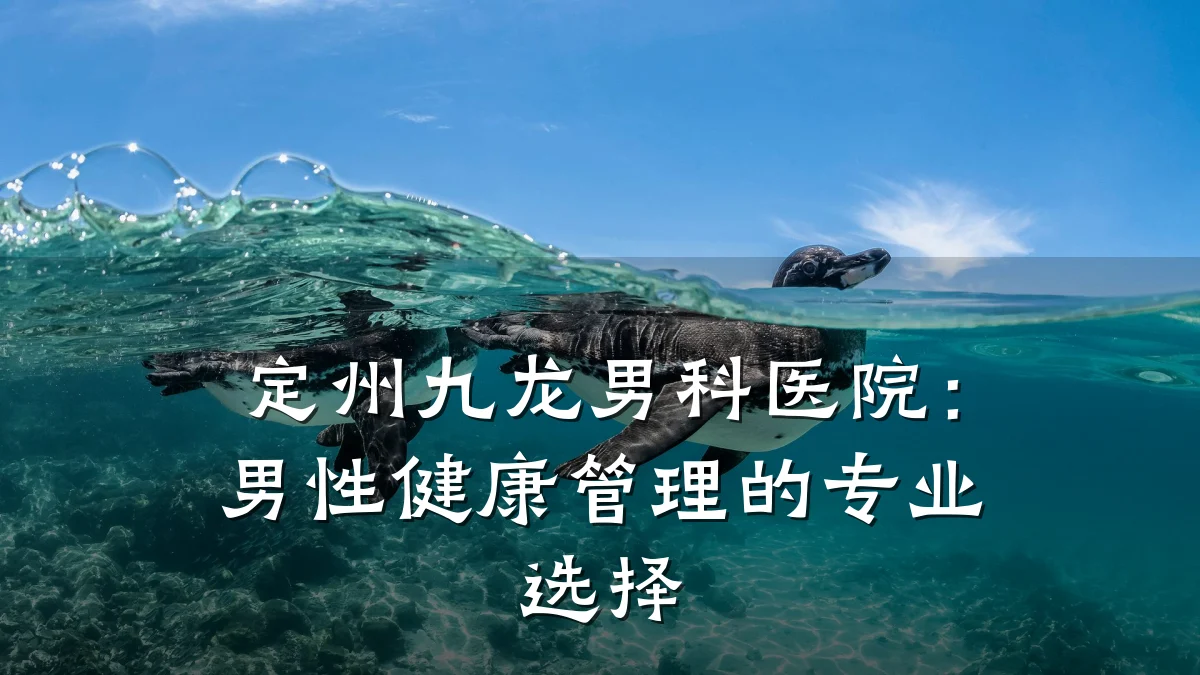 定州九龙男科医院:男性健康管理的专业选择
