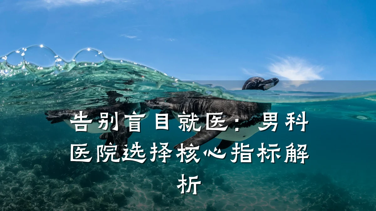 告别盲目就医:男科医院选择核心指标解析
