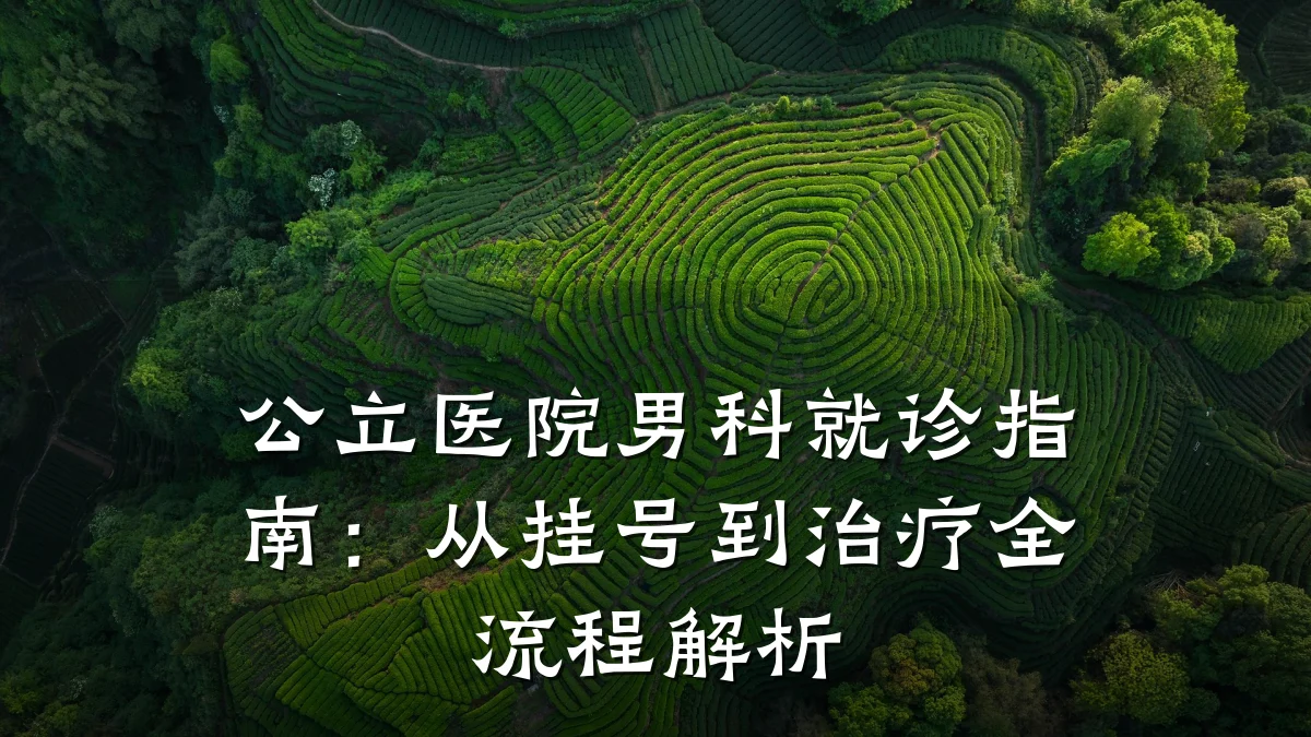 公立医院男科就诊指南:从挂号到治疗全流程解析