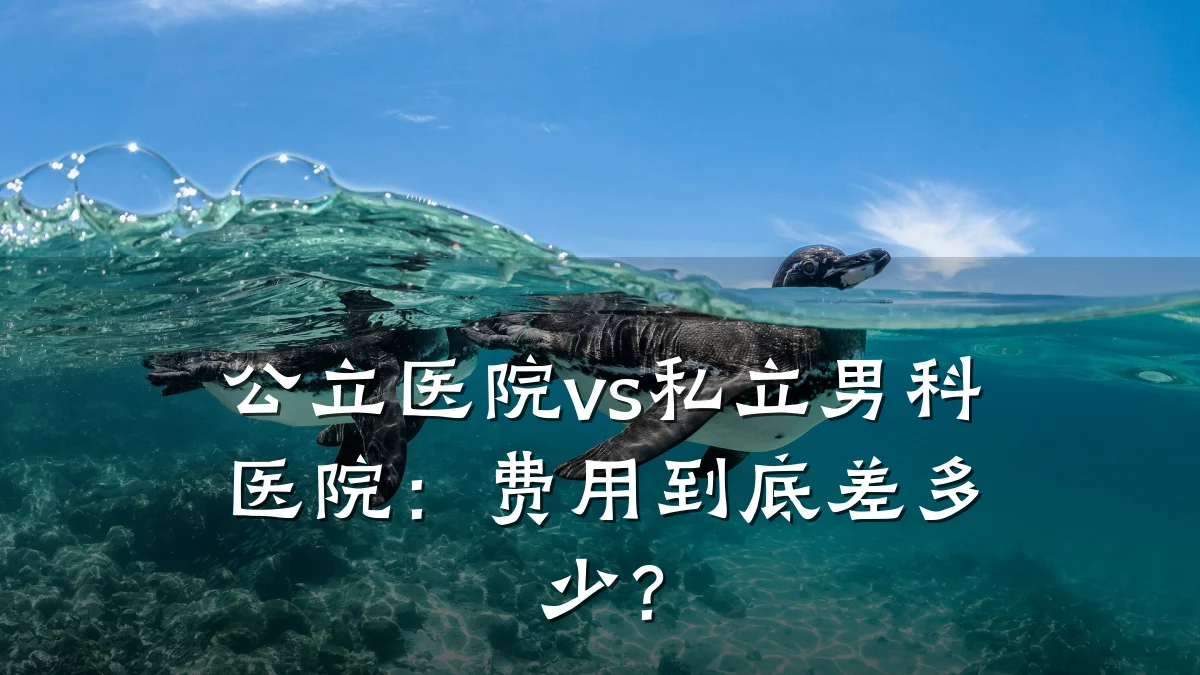 公立医院vs私立男科医院:费用到底差多少?