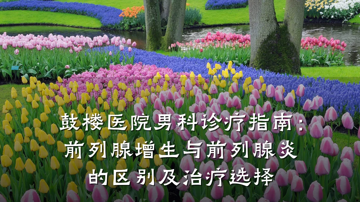 鼓楼医院男科诊疗指南:前列腺增生与前列腺炎的区别及治疗选择