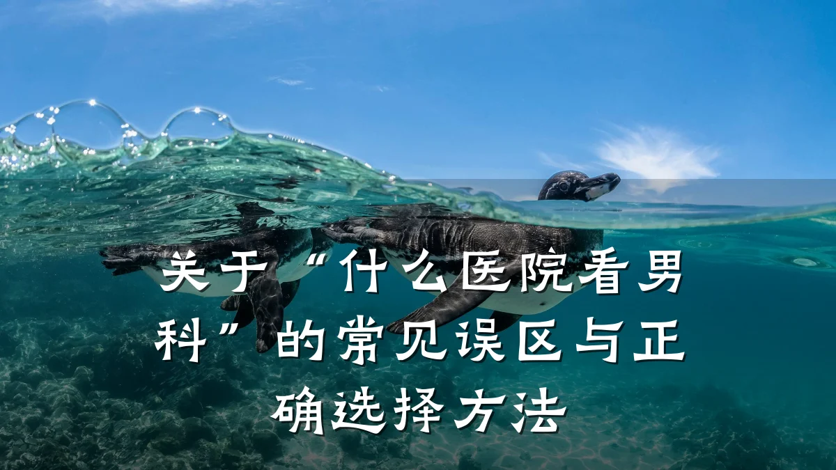 关于“什么医院看男科”的常见误区与正确选择方法