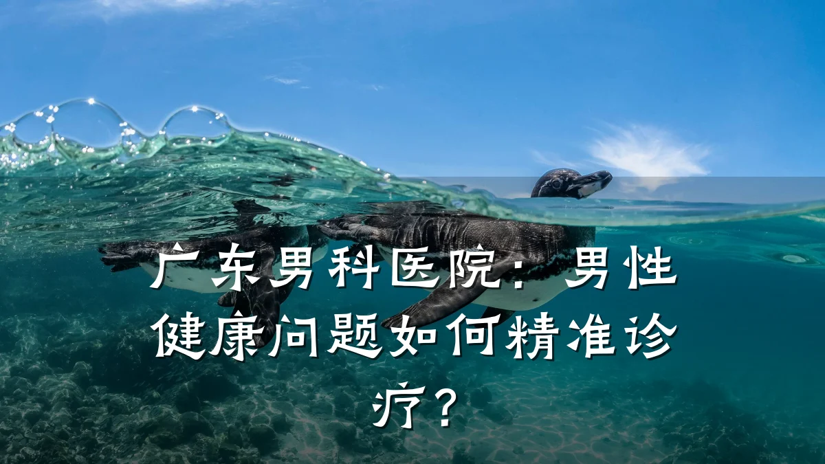 广东男科医院:男性健康问题如何精准诊疗?