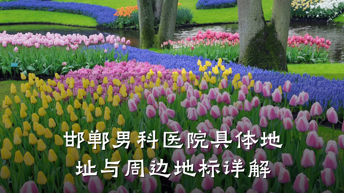 邯郸男科医院具体地址与周边地标详解