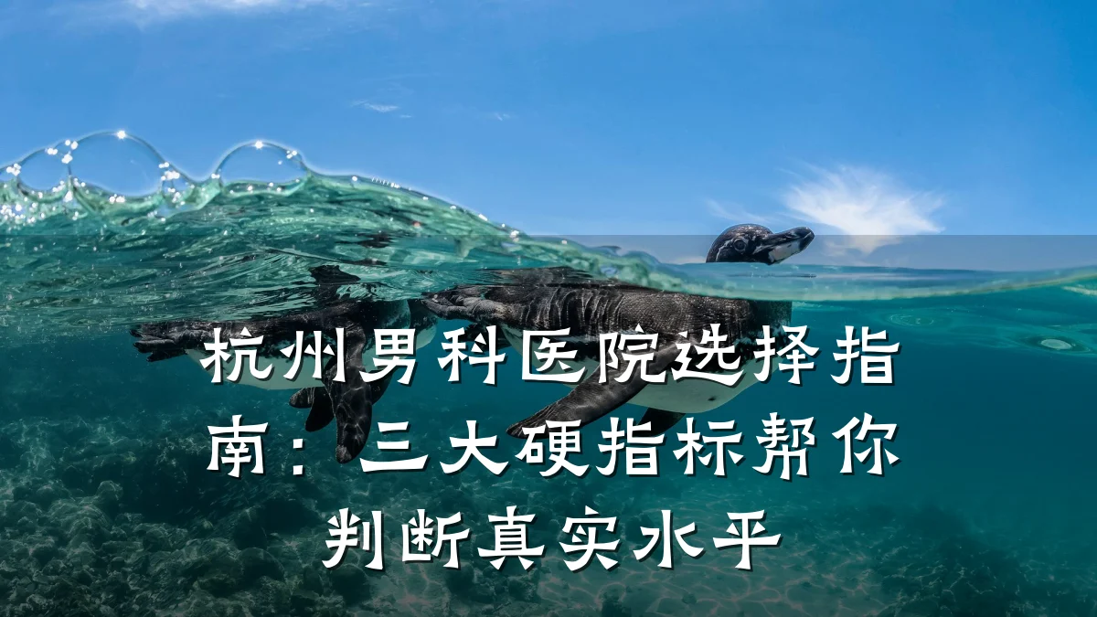 杭州男科医院选择指南:三大硬指标帮你判断真实水平