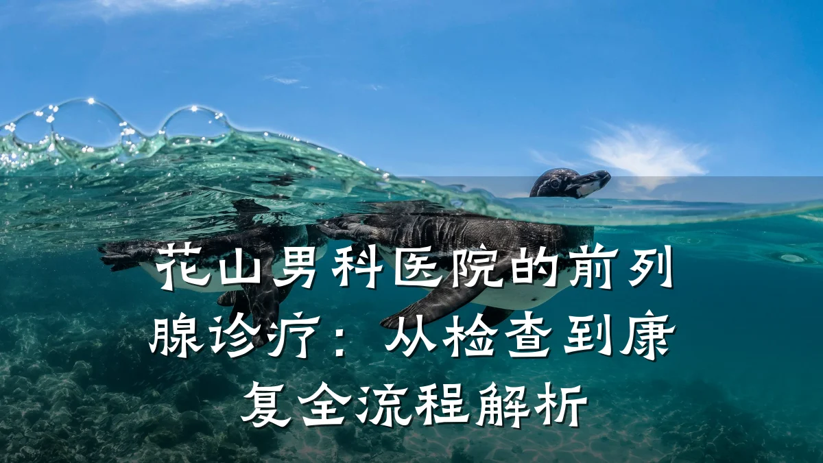 花山男科医院的前列腺诊疗:从检查到康复全流程解析