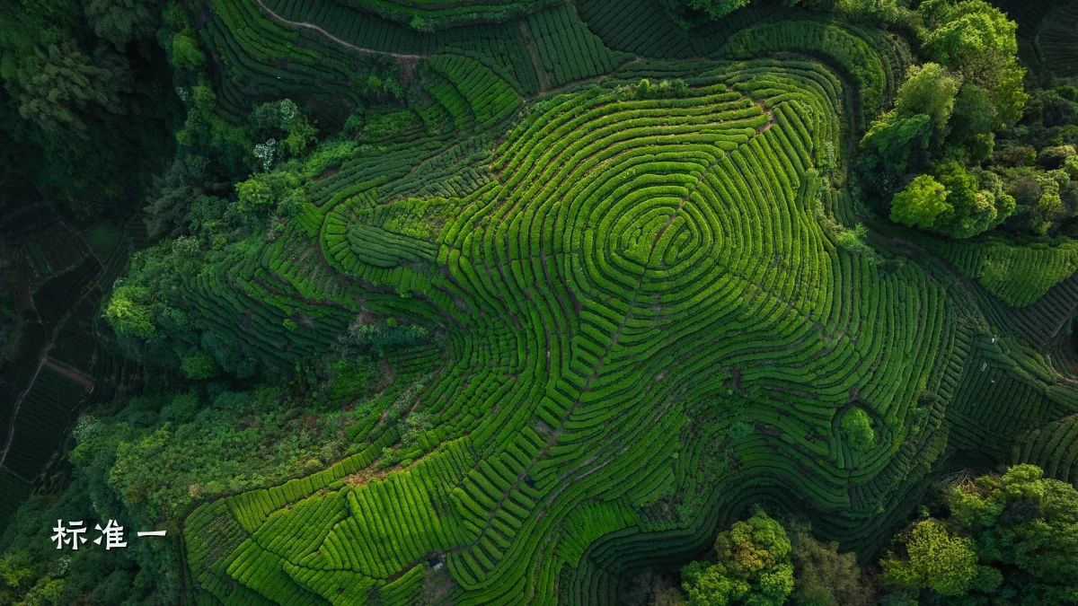 标准一