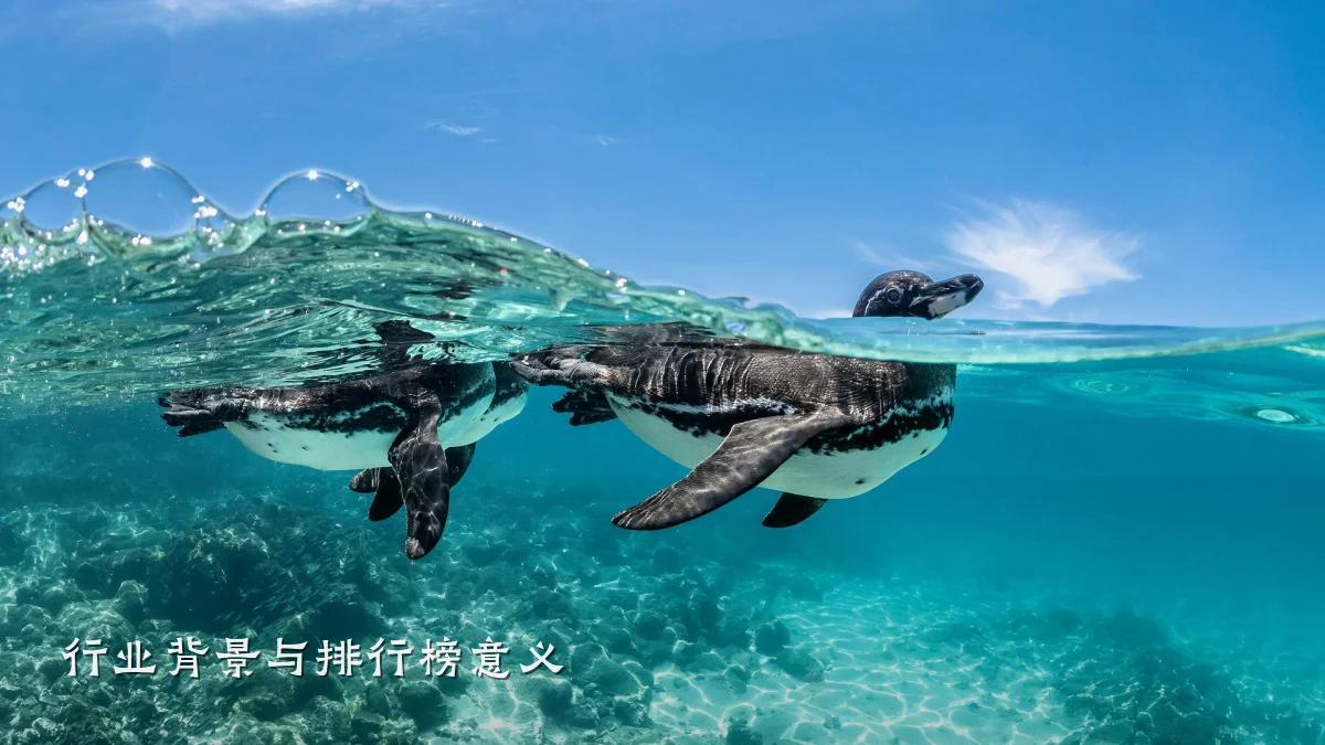 行业背景与排行榜意义