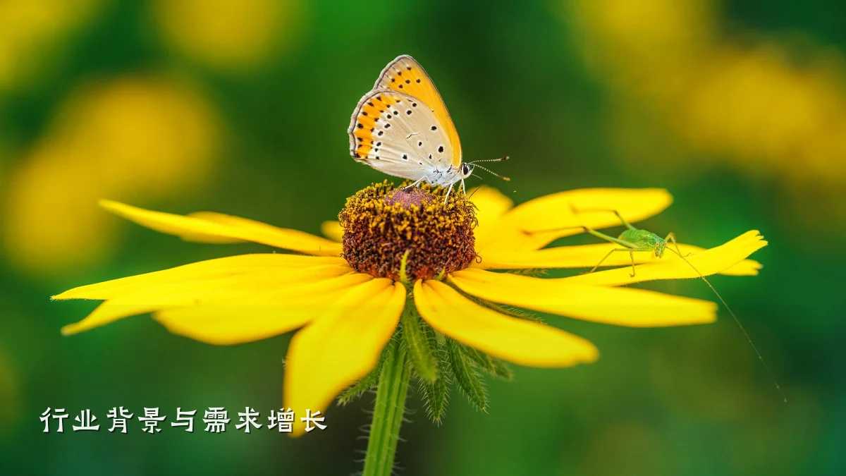 行业背景与需求增长
