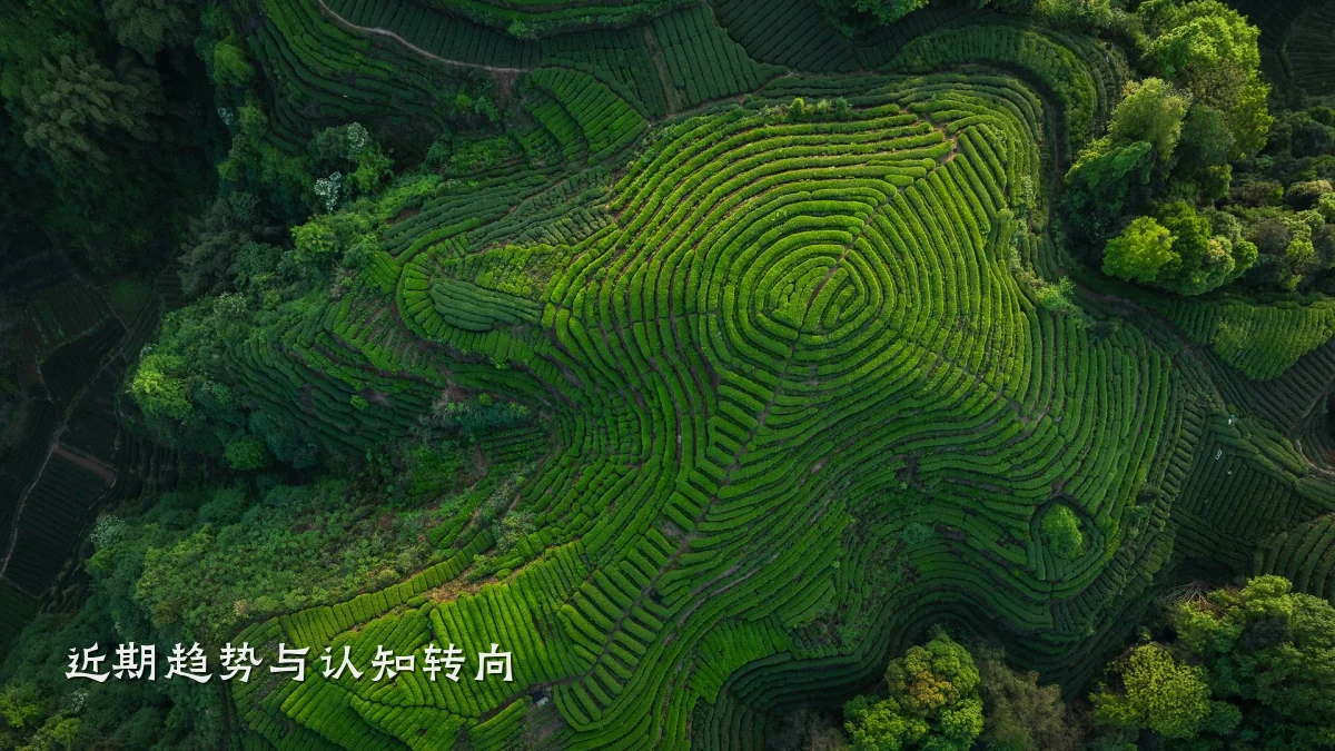 近期趋势与认知转向