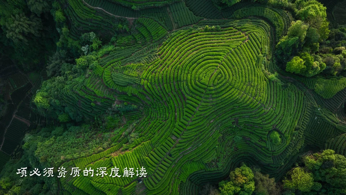 项必须资质的深度解读