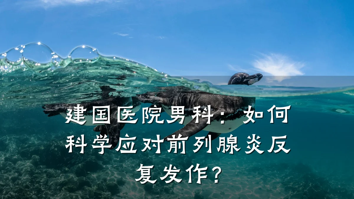 建国医院男科:如何科学应对前列腺炎反复发作?