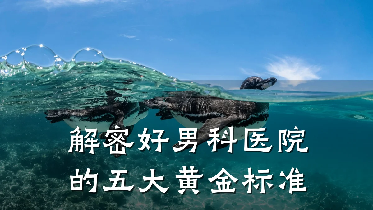 解密好男科医院的五大黄金标准