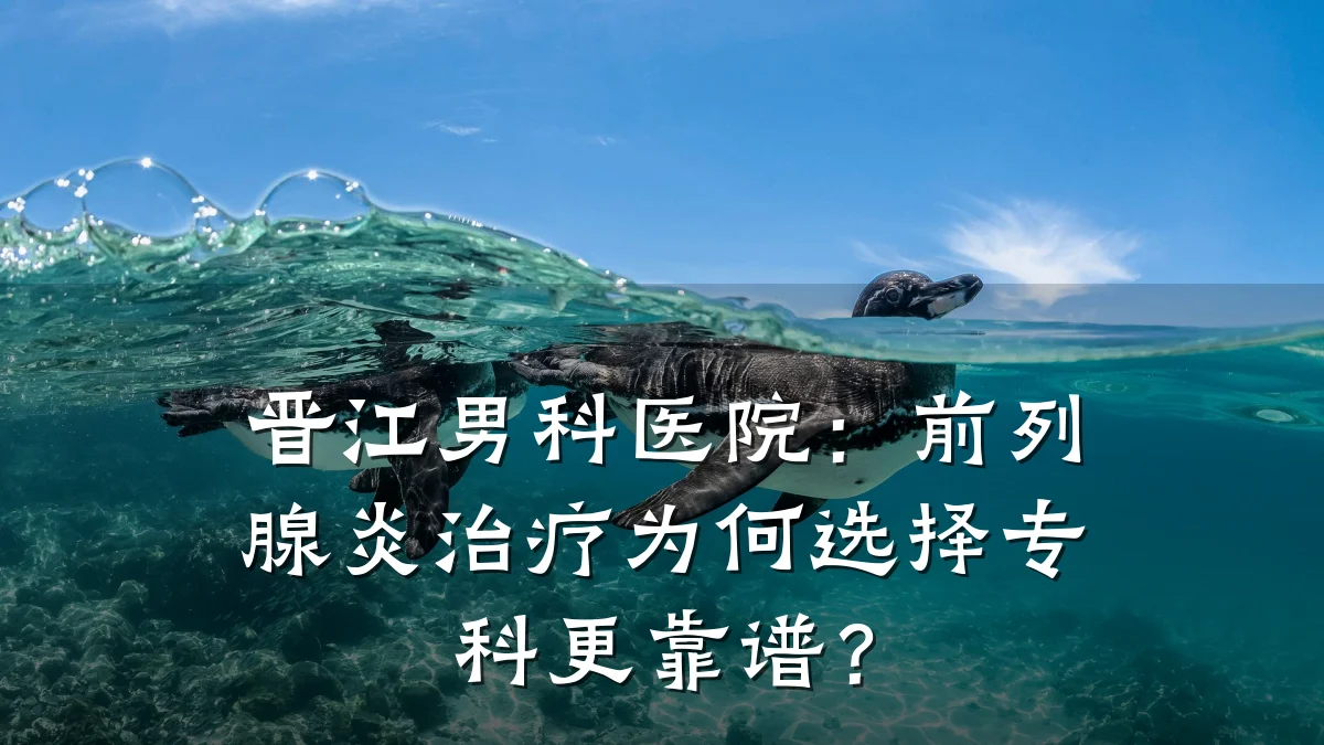 晋江男科医院:前列腺炎治疗为何选择专科更靠谱?
