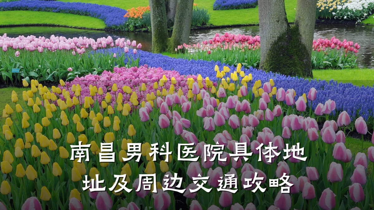 南昌男科医院具体地址及周边交通攻略