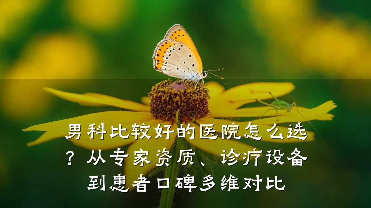 男科比较好的医院怎么选?从专家资质、诊疗设备到患者口碑多维对比
