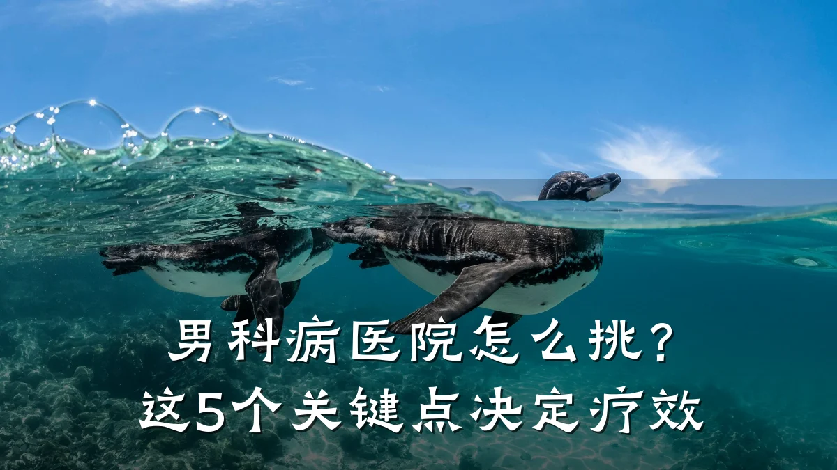 男科病医院怎么挑?这5个关键点决定疗效