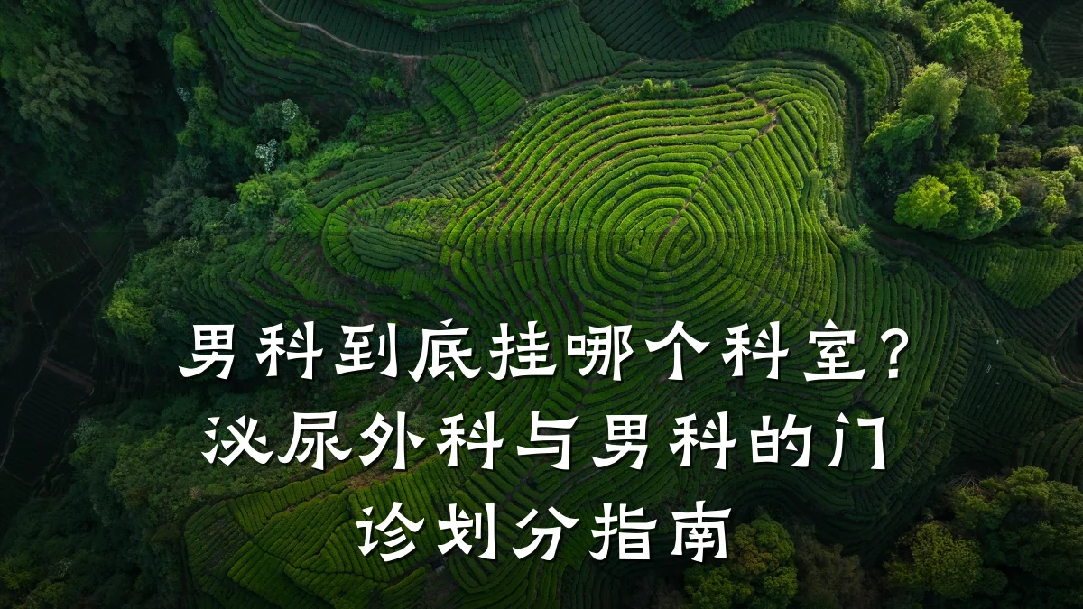 男科到底挂哪个科室?泌尿外科与男科的门诊划分指南