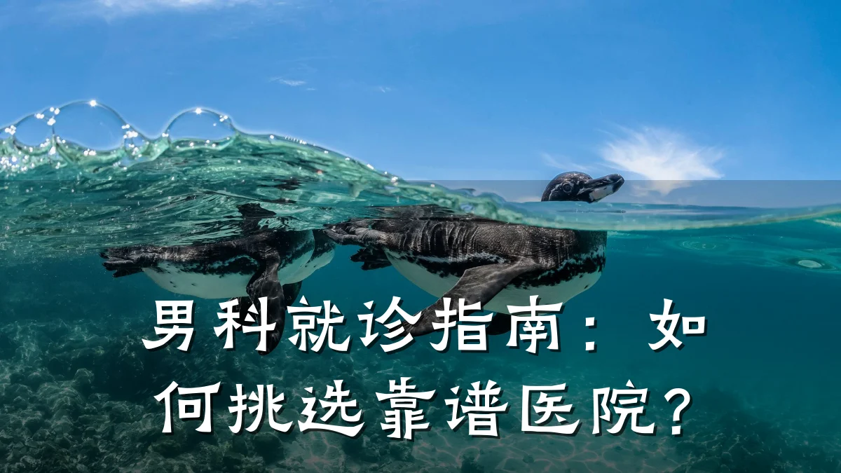 男科就诊指南:如何挑选靠谱医院?