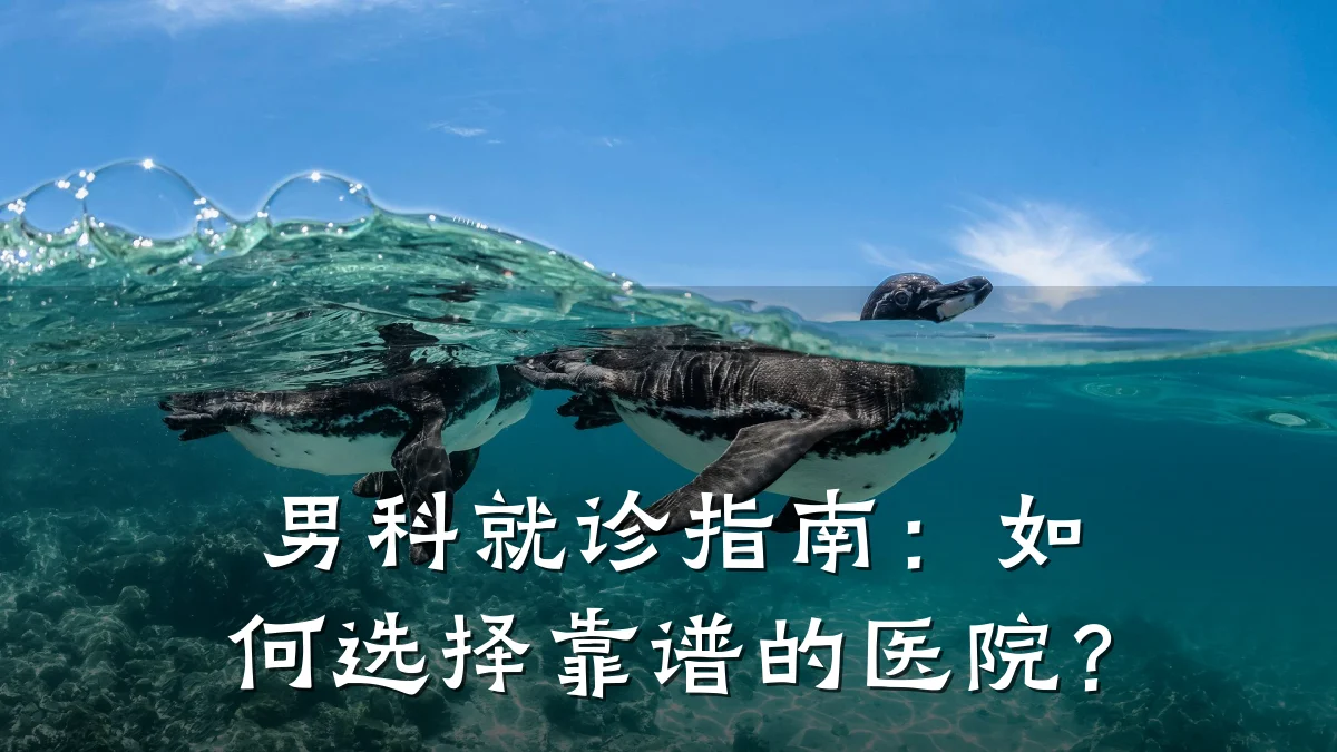 男科就诊指南:如何选择靠谱的医院?