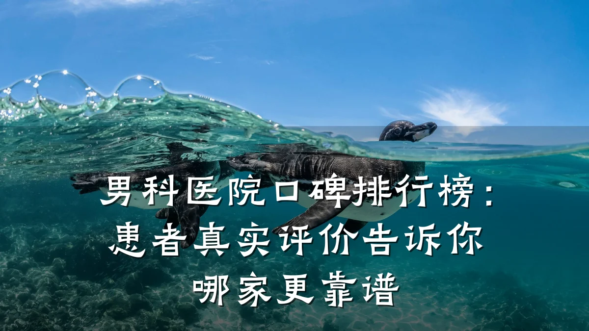 男科医院口碑排行榜:患者真实评价告诉你哪家更靠谱